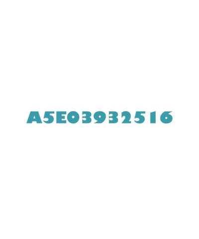 A5E03932516 SIEMENS SIPLUS READY CP 342-5 for S7-300 PROFIBUS